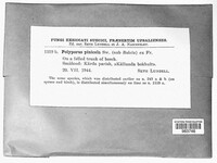 Image Associated With the Occurence